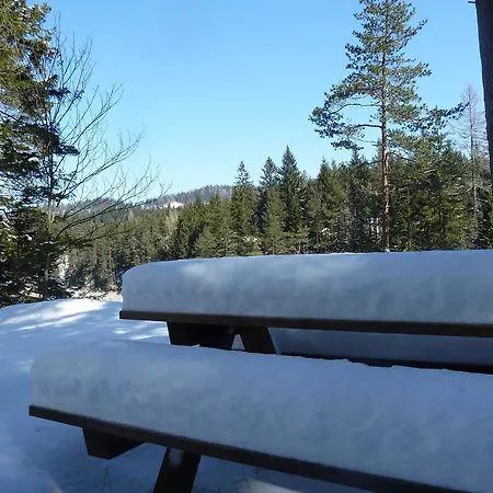 Haus Daniel Mariazell Mariazell