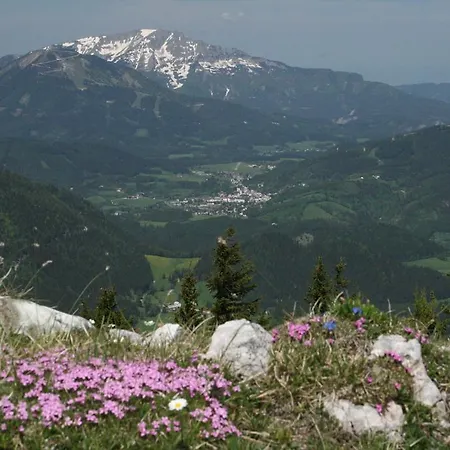 Apartment Haus Daniel Mariazell *