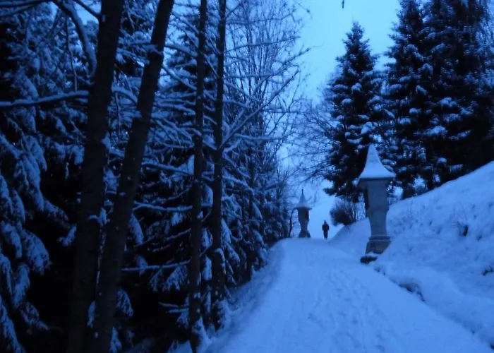 公寓 丹尼尔旅馆 玛利亚采尔