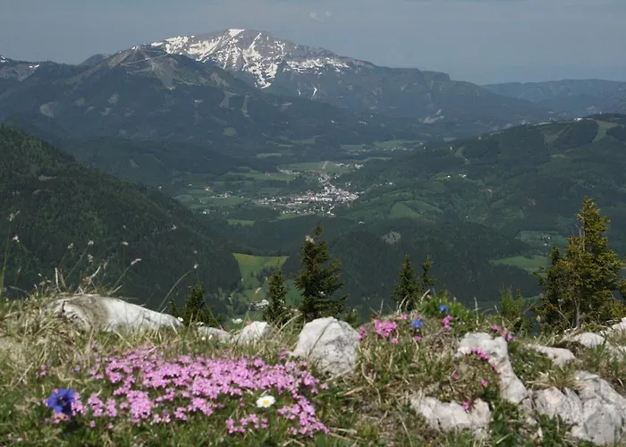 公寓 丹尼尔旅馆 *